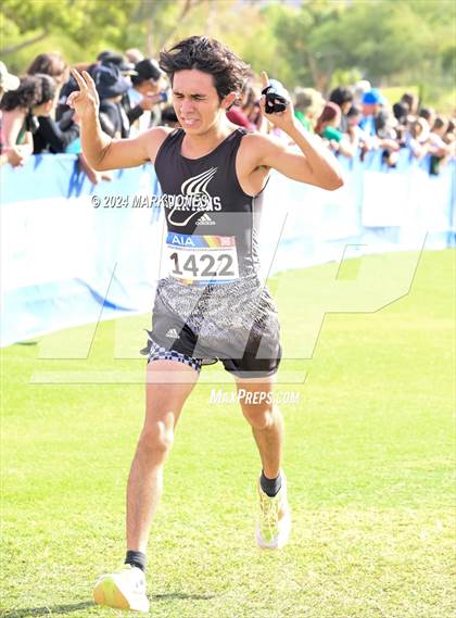 Thumbnail 1 in  AIA Division II Championships photogallery.