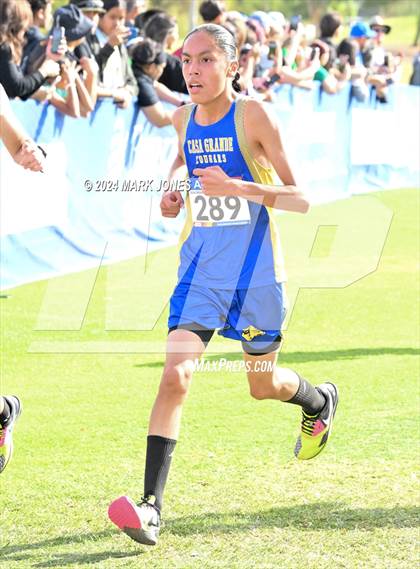 Thumbnail 1 in  AIA Division II Championships photogallery.
