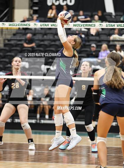 Thumbnail 3 in Syracuse vs. Cedar photogallery.