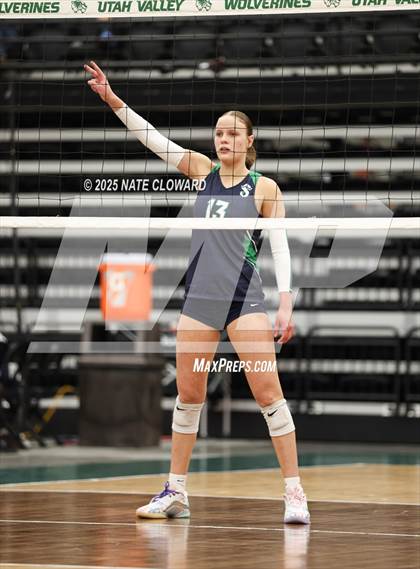 Thumbnail 2 in Syracuse vs. Cedar photogallery.
