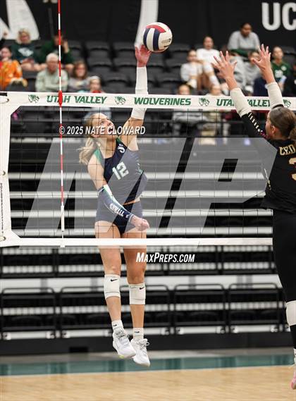Thumbnail 3 in Syracuse vs. Cedar photogallery.