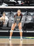 Photo from the gallery "Syracuse vs. Cedar"