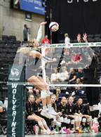 Photo from the gallery "Syracuse vs. Cedar"