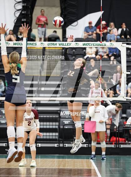 Thumbnail 2 in Syracuse vs. Cedar photogallery.