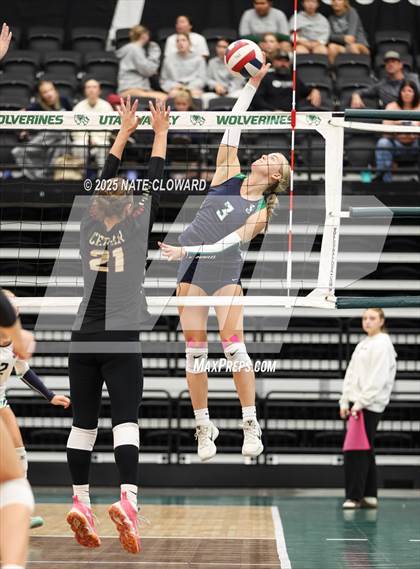 Thumbnail 3 in Syracuse vs. Cedar photogallery.