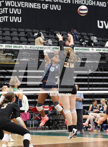 Thumbnail 2 in Syracuse vs. Cedar photogallery.