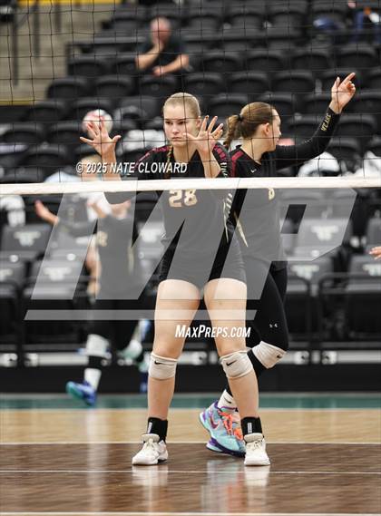Thumbnail 2 in Syracuse vs. Cedar photogallery.