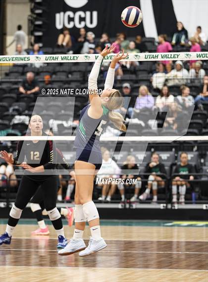Thumbnail 2 in Syracuse vs. Cedar photogallery.