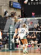 Photo from the gallery "Syracuse vs. Cedar"