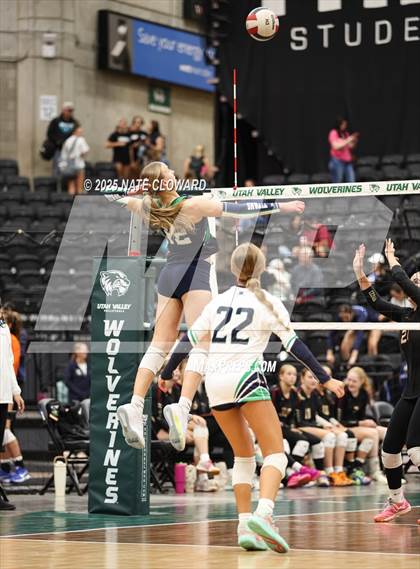Thumbnail 3 in Syracuse vs. Cedar photogallery.
