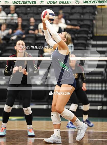 Thumbnail 3 in Syracuse vs. Cedar photogallery.