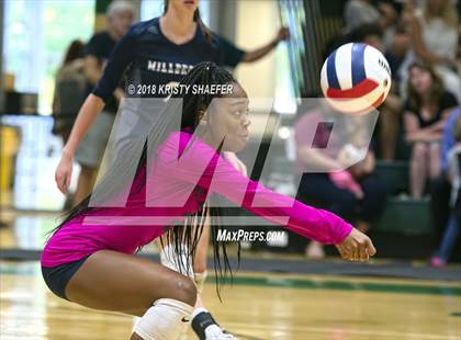 Thumbnail 3 in Millbrook @ Cardinal Gibbons photogallery.