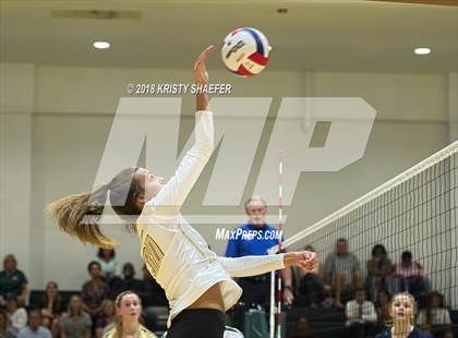 Thumbnail 1 in Millbrook @ Cardinal Gibbons photogallery.