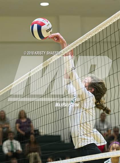 Thumbnail 3 in Millbrook @ Cardinal Gibbons photogallery.