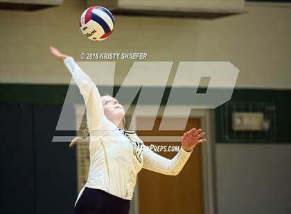 Thumbnail 2 in Millbrook @ Cardinal Gibbons photogallery.