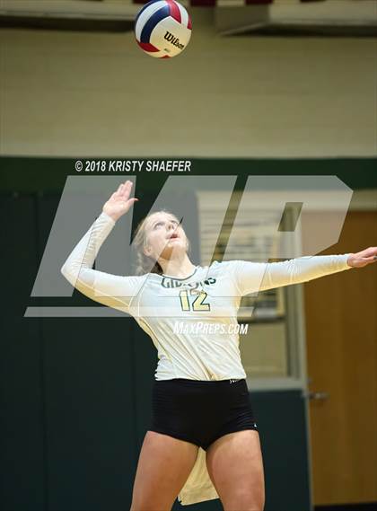 Thumbnail 3 in Millbrook @ Cardinal Gibbons photogallery.