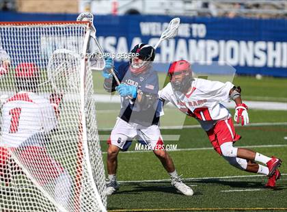 Thumbnail 1 in Cold Spring Harbor vs. Jamesville-DeWitt (NYSPHSAA Class C Final) photogallery.