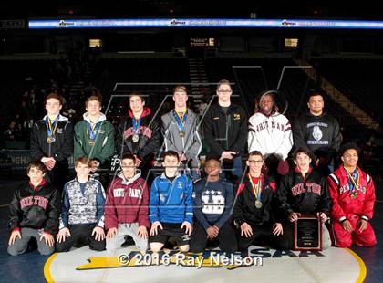 Thumbnail 1 in NYSPHSAA Championships (Division I Podiums - Team Photos) photogallery.