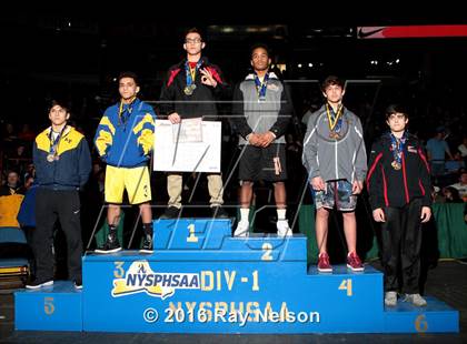 Thumbnail 1 in NYSPHSAA Championships (Division I Podiums - Team Photos) photogallery.