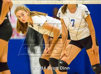 Thumbnail 3 in JV: Del Mar @ Santa Teresa photogallery.