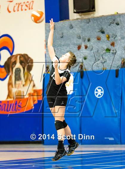 Thumbnail 2 in JV: Del Mar @ Santa Teresa photogallery.