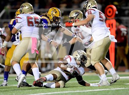 Thumbnail 1 in Terrebonne @ Thibodaux photogallery.