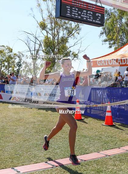 Thumbnail 3 in State Cross Country ( AIA Div1-4 Finals) photogallery.