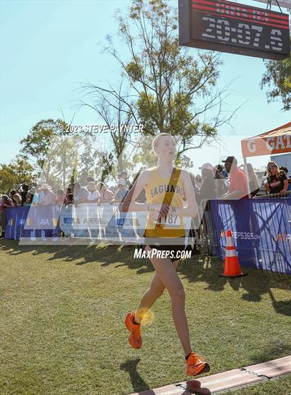 Thumbnail 3 in State Cross Country ( AIA Div1-4 Finals) photogallery.