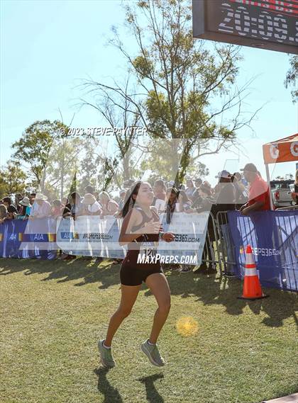 Thumbnail 1 in State Cross Country ( AIA Div1-4 Finals) photogallery.