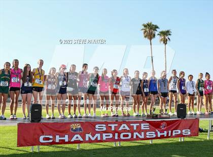 Thumbnail 1 in State Cross Country ( AIA Div1-4 Finals) photogallery.