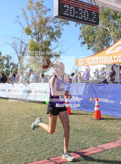 Thumbnail 2 in State Cross Country ( AIA Div1-4 Finals) photogallery.