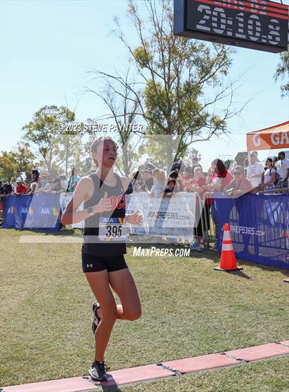 Thumbnail 3 in State Cross Country ( AIA Div1-4 Finals) photogallery.