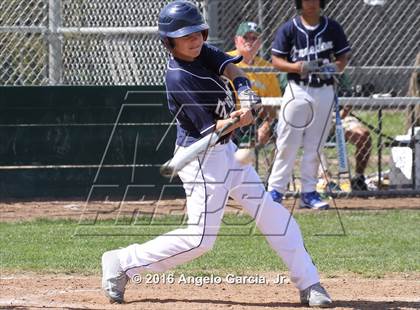 Thumbnail 3 in Amador Valley vs Freedom photogallery.