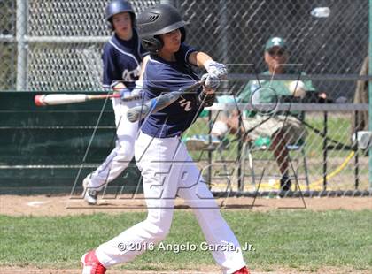 Thumbnail 1 in Amador Valley vs Freedom photogallery.