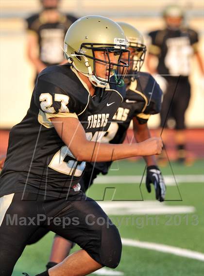 Thumbnail 3 in Irving Gold @ Lewisville White photogallery.