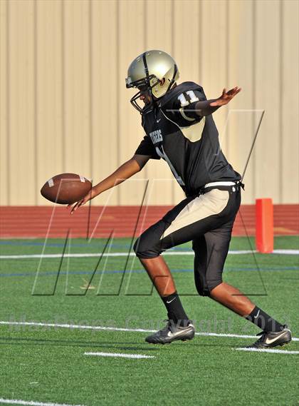 Thumbnail 3 in Irving Gold @ Lewisville White photogallery.