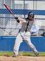 Photo from the gallery "Pioneer @ Casa Roble"