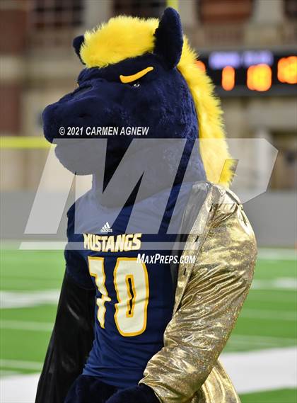 Thumbnail 2 in Cypress Ranch vs  Cypress Springs photogallery.