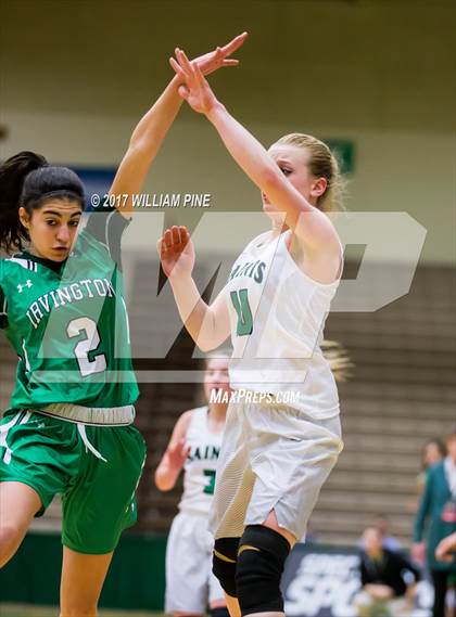 Thumbnail 1 in Seton Catholic Central vs. Irvington (NYSPHSAA Class B Final) photogallery.