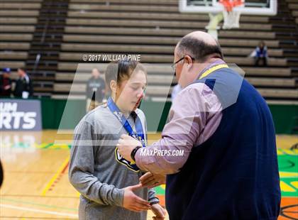 Thumbnail 3 in Seton Catholic Central vs. Irvington (NYSPHSAA Class B Final) photogallery.