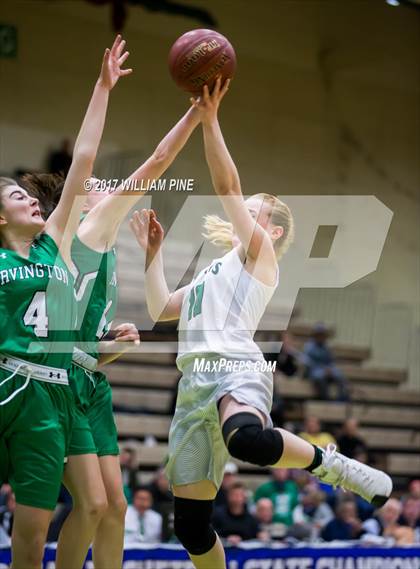 Thumbnail 1 in Seton Catholic Central vs. Irvington (NYSPHSAA Class B Final) photogallery.
