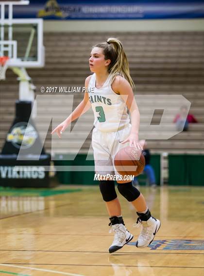 Thumbnail 3 in Seton Catholic Central vs. Irvington (NYSPHSAA Class B Final) photogallery.