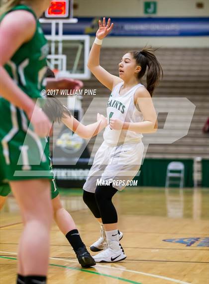 Thumbnail 1 in Seton Catholic Central vs. Irvington (NYSPHSAA Class B Final) photogallery.
