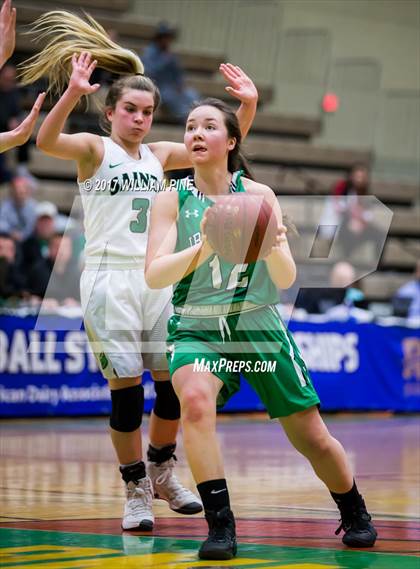 Thumbnail 2 in Seton Catholic Central vs. Irvington (NYSPHSAA Class B Final) photogallery.