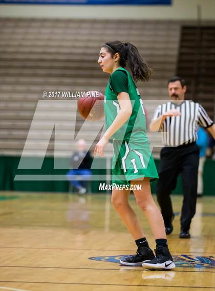 Thumbnail 1 in Seton Catholic Central vs. Irvington (NYSPHSAA Class B Final) photogallery.