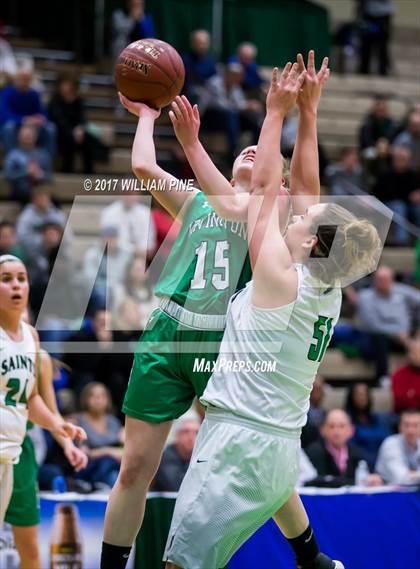 Thumbnail 1 in Seton Catholic Central vs. Irvington (NYSPHSAA Class B Final) photogallery.