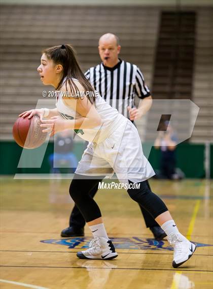 Thumbnail 1 in Seton Catholic Central vs. Irvington (NYSPHSAA Class B Final) photogallery.