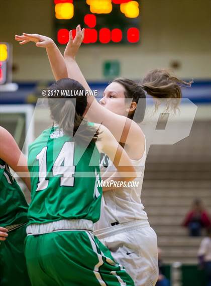 Thumbnail 3 in Seton Catholic Central vs. Irvington (NYSPHSAA Class B Final) photogallery.