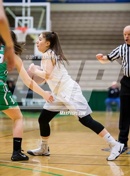 Thumbnail 2 in Seton Catholic Central vs. Irvington (NYSPHSAA Class B Final) photogallery.