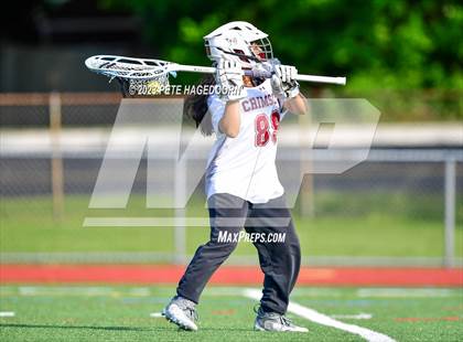 Thumbnail 3 in Montville @ Morristown Beard photogallery.